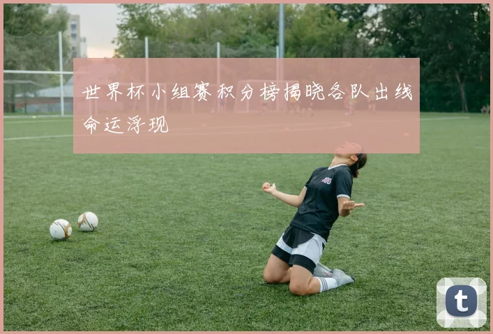世界杯小组赛积分榜揭晓各队出线命运浮现