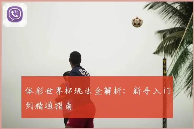 体彩世界杯玩法全解析：新手入门到精通指南