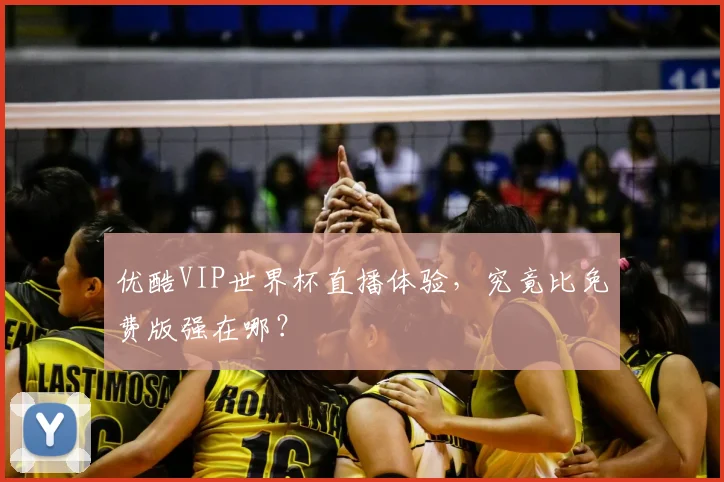 优酷VIP世界杯直播体验,究竟比免费版强在哪?
