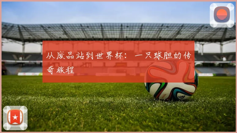 从废品站到世界杯：一只球胆的传奇旅程