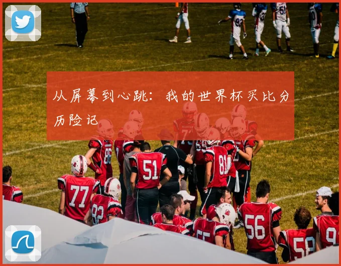 从屏幕到心跳：我的世界杯买比分历险记