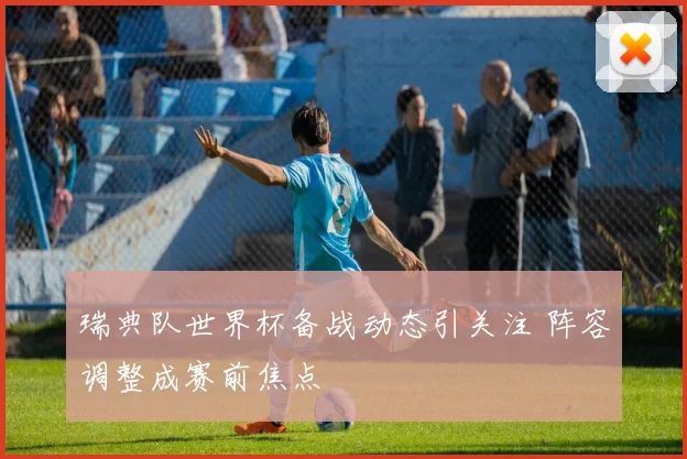 瑞典队世界杯备战动态引关注 阵容调整成赛前焦点