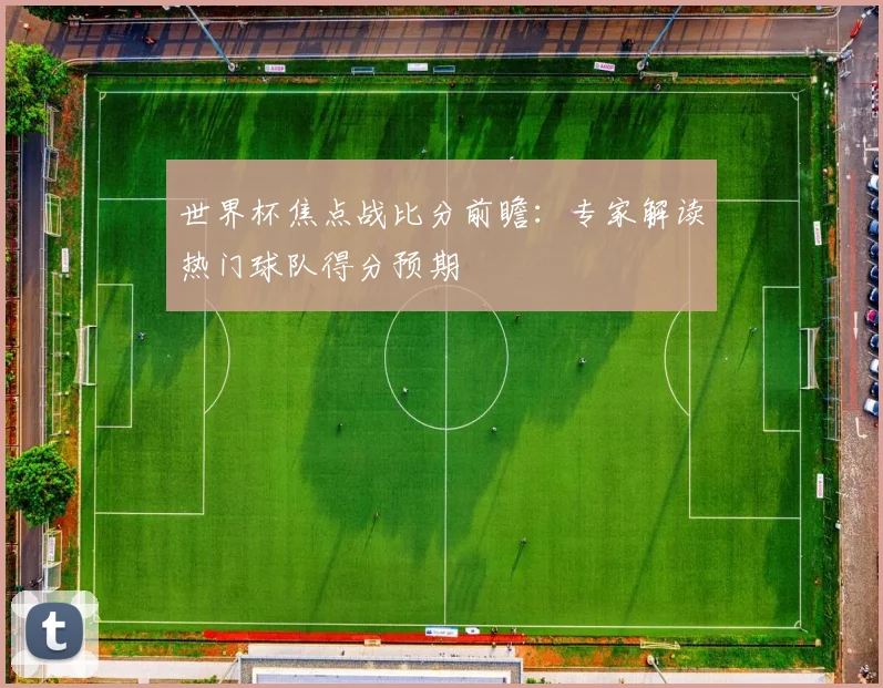 世界杯焦点战比分前瞻：专家解读热门球队得分预期