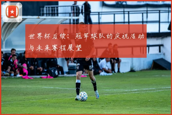 世界杯后续：冠军球队的庆祝活动与未来赛程展望