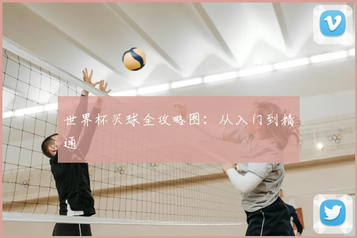 世界杯买球全攻略图：从入门到精通