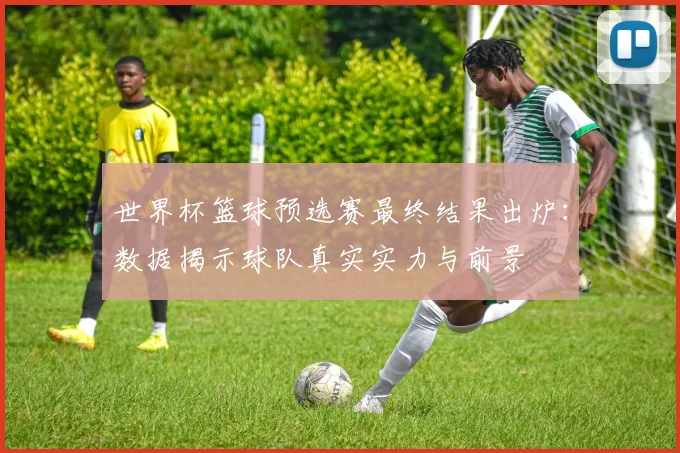 世界杯篮球预选赛最终结果出炉：数据揭示球队真实实力与前景