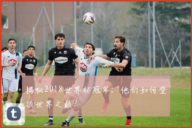 揭秘2018世界杯冠军：他们如何登顶世界之巅？