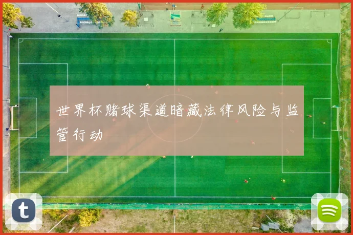 世界杯赌球渠道暗藏法律风险与监管行动