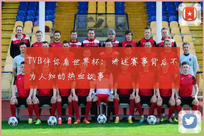 TVB伴你看世界杯：讲述赛事背后不为人知的热血故事