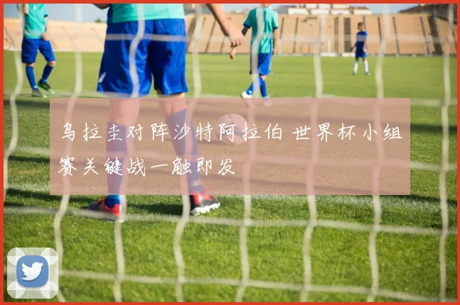乌拉圭对阵沙特阿拉伯 世界杯小组赛关键战一触即发