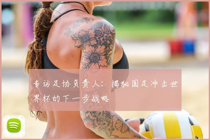 专访足协负责人：揭秘国足冲击世界杯的下一步战略